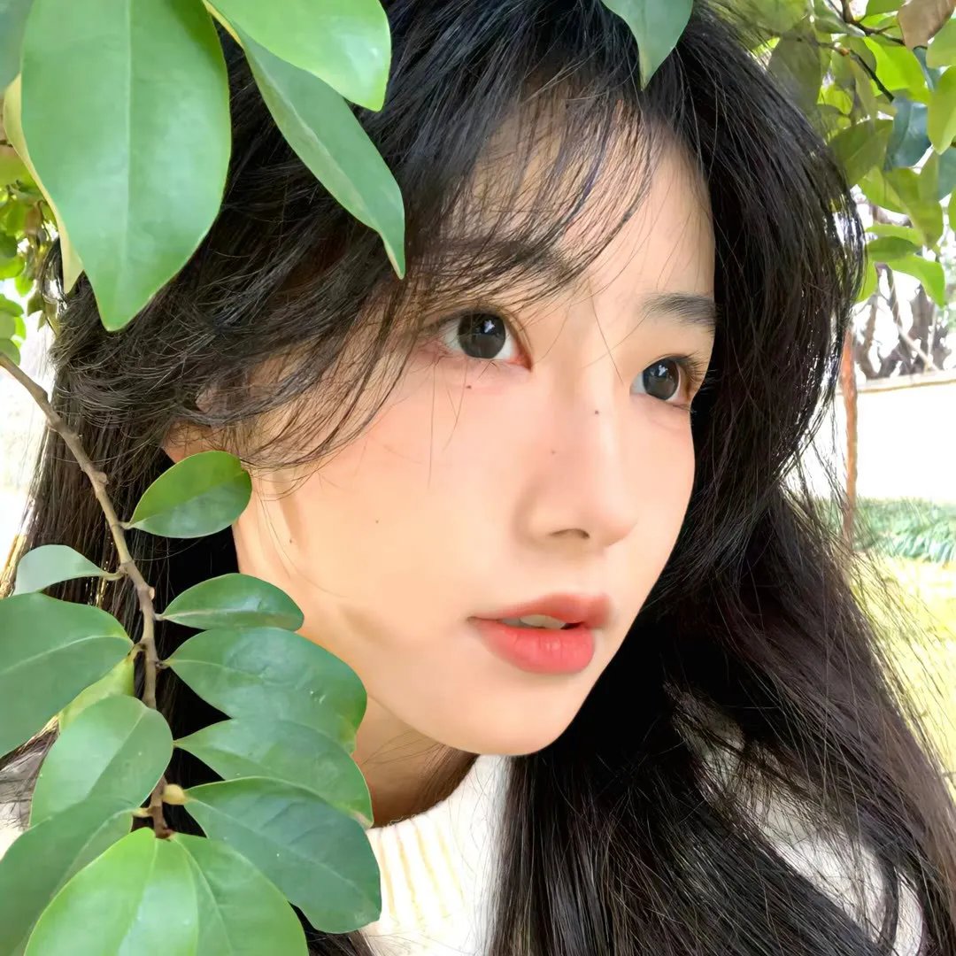茶花女遗事